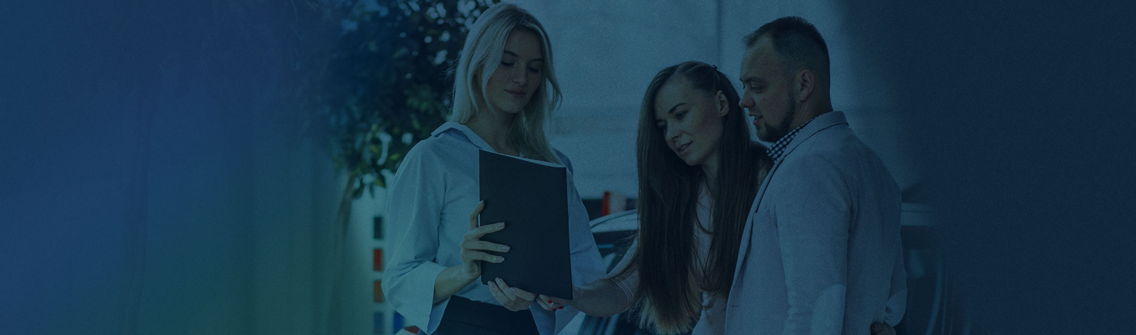 Gradient BG 2x 100 retina